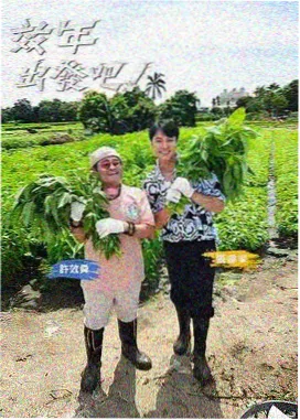 免费的综艺节目 跨界喜剧王
